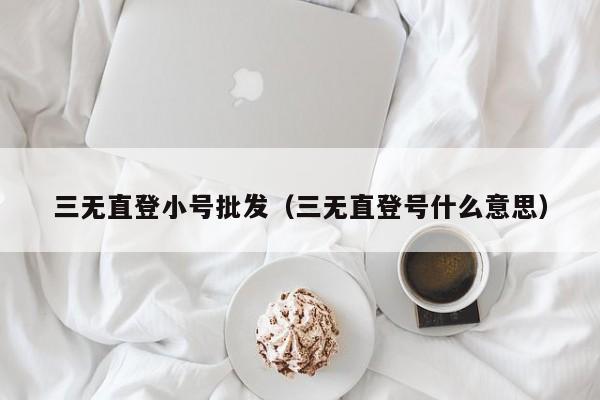 三无直登小号批发（三无直登号什么意思）