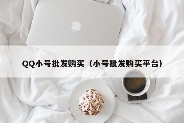 QQ小号批发购买（小号批发购买平台）