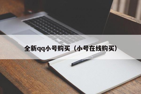 全新qq小号购买（小号在线购买）