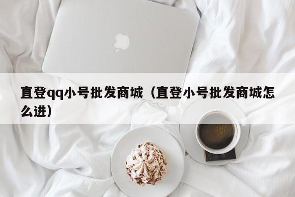 直登qq小号批发商城（直登小号批发商城怎么进）