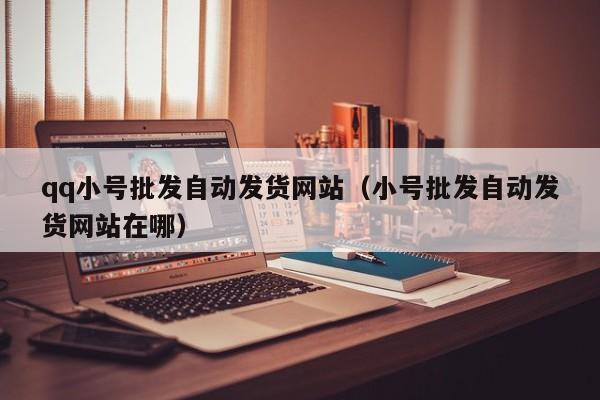 qq小号批发自动发货网站（小号批发自动发货网站在哪）