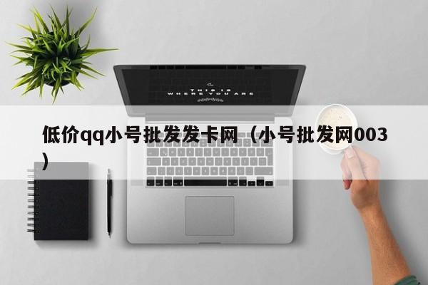 低价qq小号批发发卡网（小号批发网003）