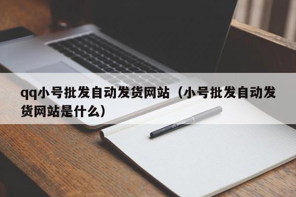 qq小号批发自动发货网站（小号批发自动发货网站是什么）