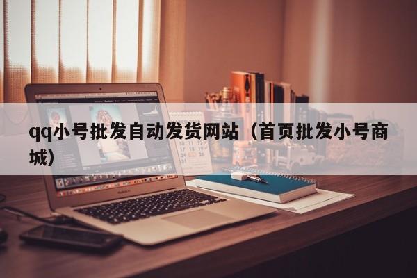qq小号批发自动发货网站（首页批发小号商城）