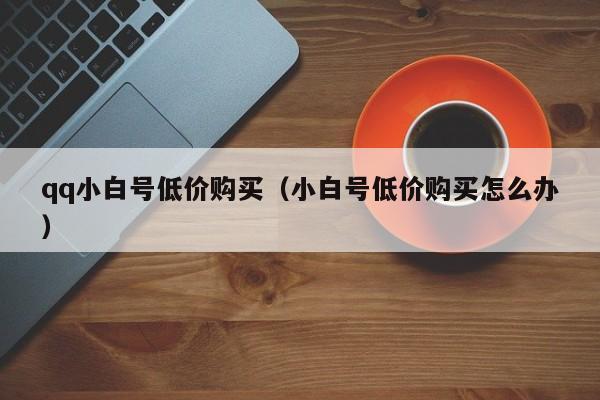 qq小白号低价购买（小白号低价购买怎么办）