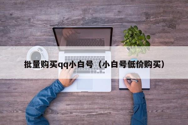 批量购买qq小白号（小白号低价购买）