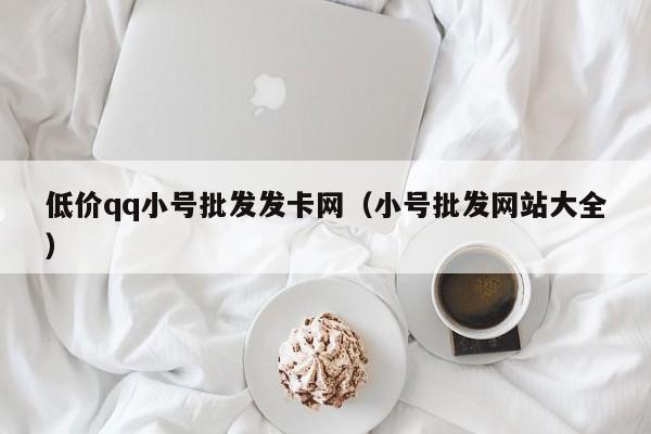 低价qq小号批发发卡网（小号批发网站大全）