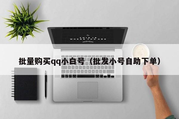 批量购买qq小白号（批发小号自助下单）