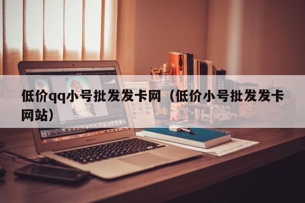低价qq小号批发发卡网（低价小号批发发卡网站）