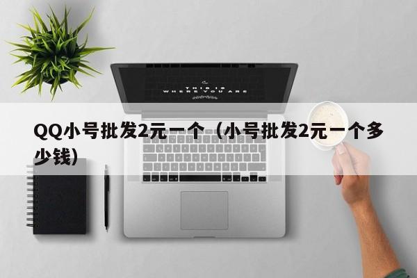 QQ小号批发2元一个（小号批发2元一个多少钱）