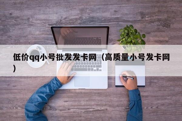 低价qq小号批发发卡网（高质量小号发卡网）