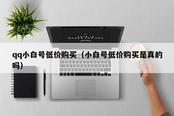 qq小白号低价购买(小白号低价购买是真的吗)