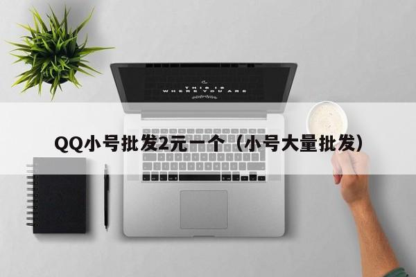 QQ小号批发2元一个（小号大量批发）